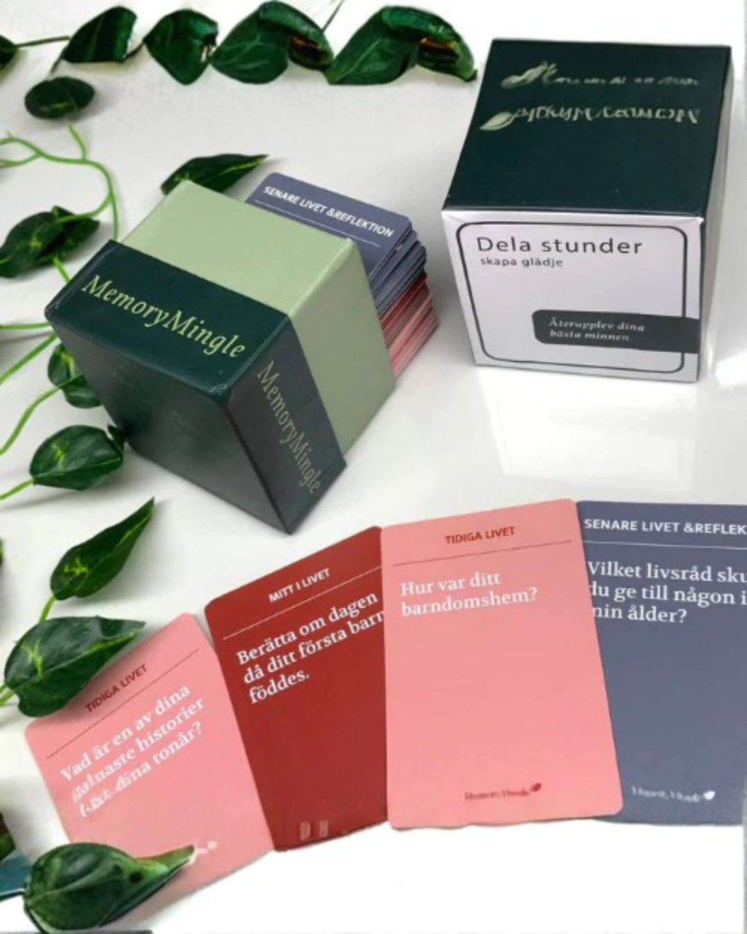 Minnesspelet – frågekortleken för minnen och samtal